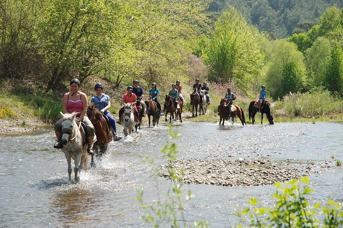 Horseback Riding Experience in Marmaris - Additional Information