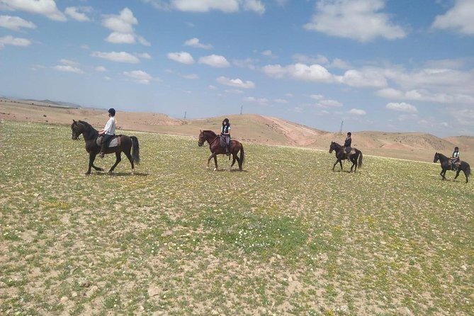 Horseback Riding in a Special Agafay Desert - Dusty Trails Near Lalla Takerkoust Dam