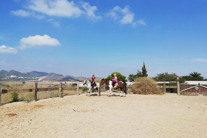 Horseback Riding in Cartagena (Spain) - Last Words