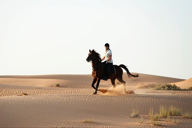 Horseback Riding in Dubai Desert - Cancellation Policy
