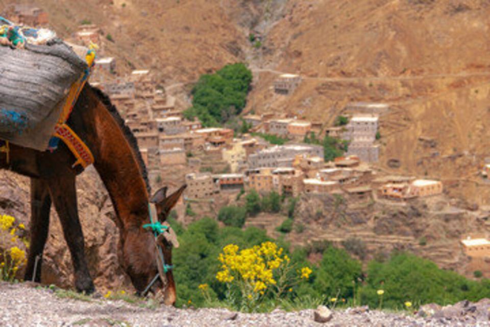 Horseback Riding in the High Atlas Mountains With Overnight - Duration and Scheduling