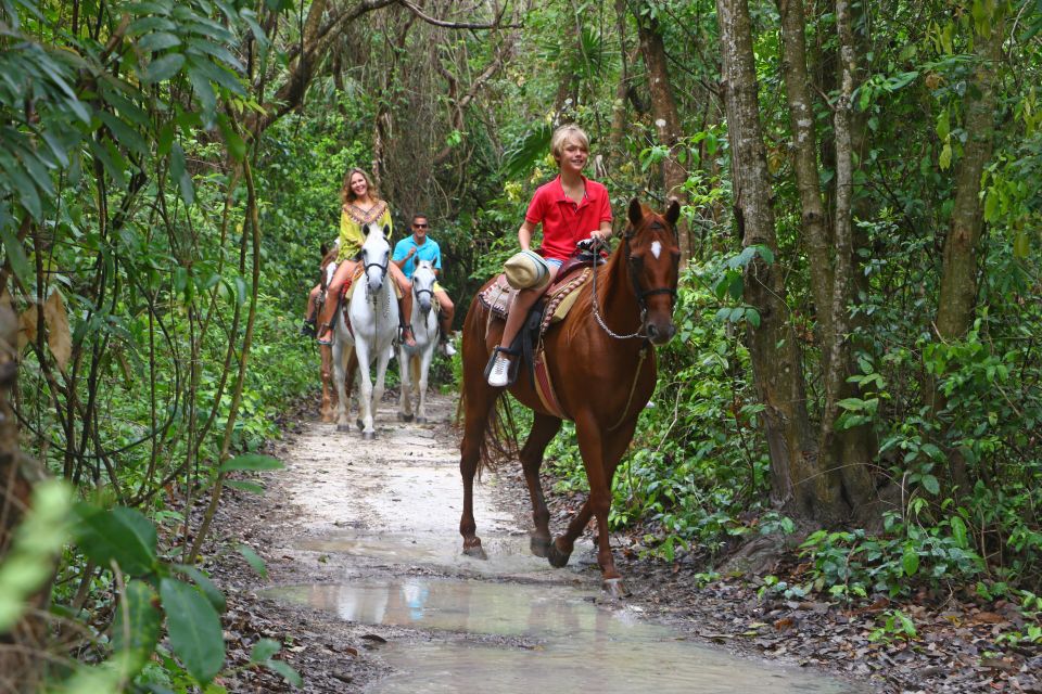 Horseback Riding in the Tropical Jungle - Activity Details