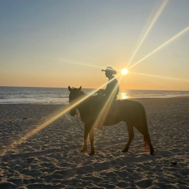 Horseback Riding on the Beach - Experience Highlights