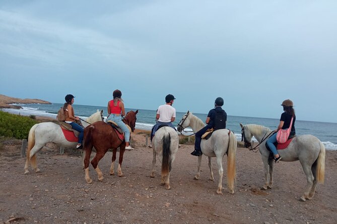 Horseback Riding Through the Calblanque Natural Park - Important Logistics and Meeting Point