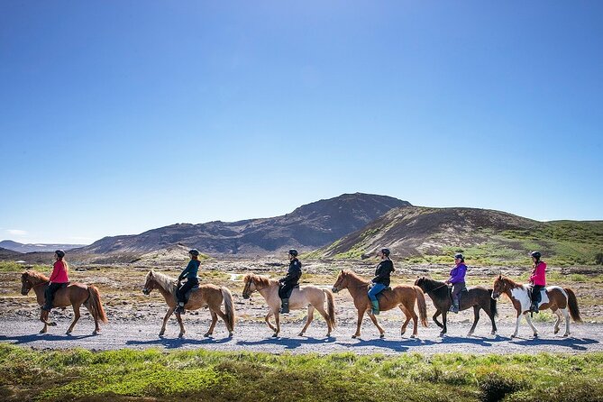 Horseback Riding Tour in Iceland - Booking Information