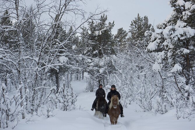 2 horseback riding tour in levi Horseback Riding Tour in Levi