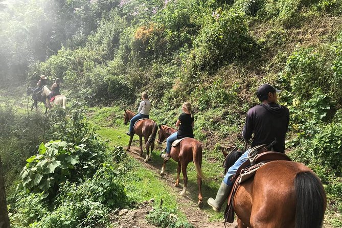Horseback Trail Ride & Heritage Ranch Visit, Antigua - Lowest Price Guarantee