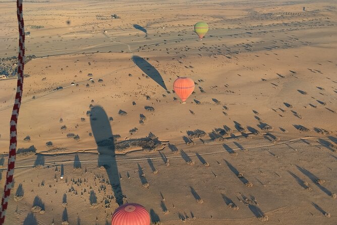 Hot Air Balloon Ride in Marrakech - Traveler Assistance Options
