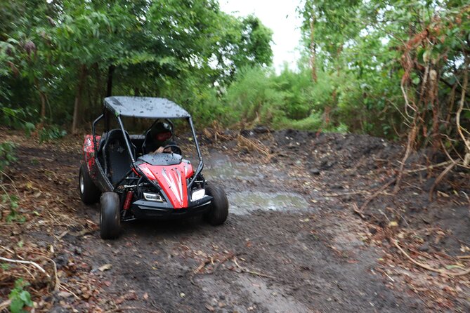 Houston Dune Buggy Adventures - Reviews and Feedback