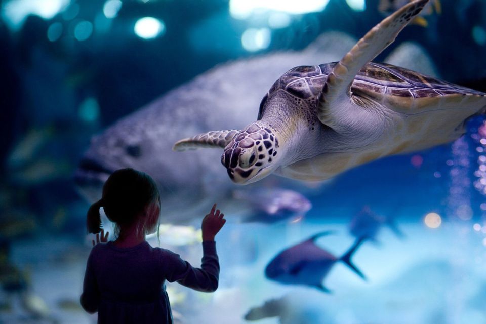 Houston Tour and Aquarium Ticket - Inclusions and Benefits