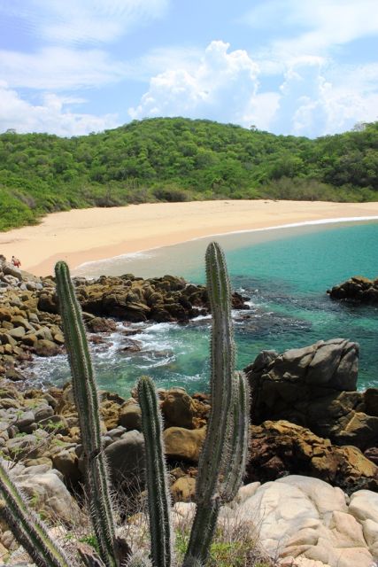 Huatulco: Bays of Huatulco Boat Tour - Experience Highlights