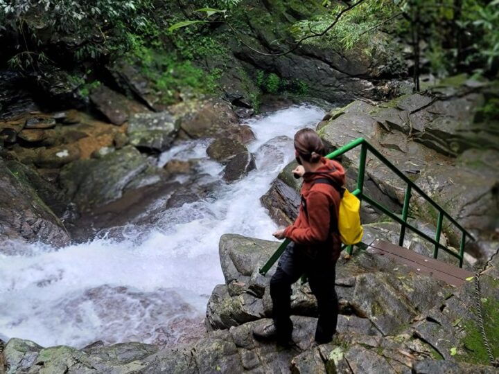 Hue to Da Nang/Hoi An via Bach Ma Trekking - Nature Exploration