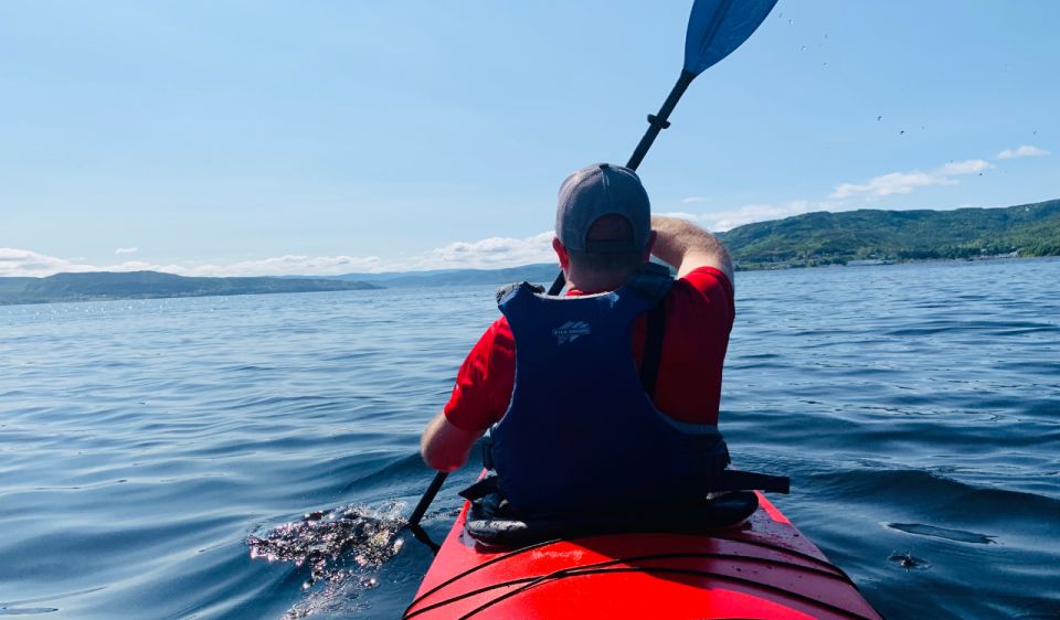 Humber Arm South: Bay of Islands Guided Kayaking Tour - Experience
