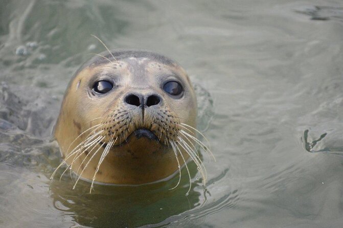 Hunstanton SEA LIFE Sanctuary General Admission Ticket - Cancellation Policy