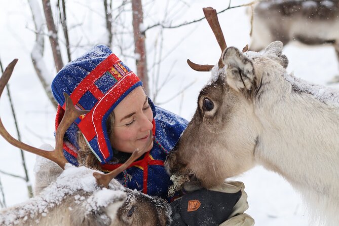 Hunt for Auroras by Reindeer Sled in Kiruna (Apr ) - Discover Sami Culture and Traditions