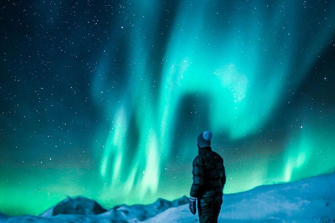 Hunt for the Northern Lights in Kiruna - Abisko - Reviews