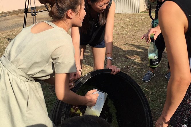 Hunter Valley Grape Stomping - Operational Information to Note