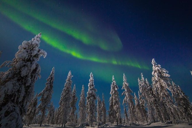 Hunting Northern Lights With Husky - Memorable Moments and Recommendations