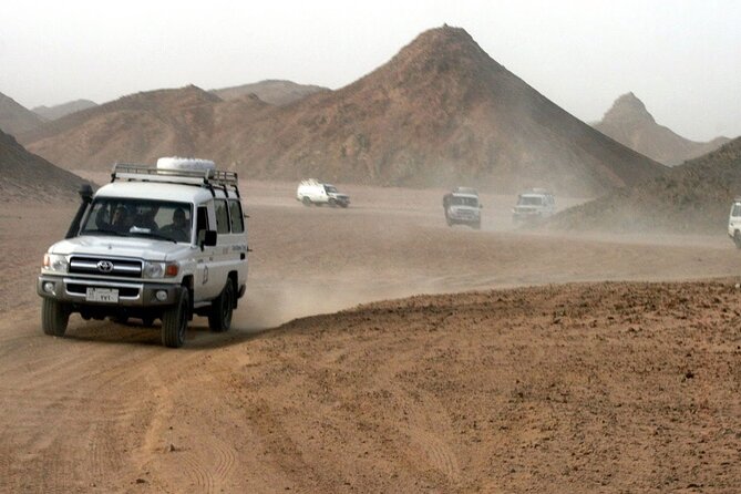 Hurghada Desert Safari ATV, Dune Buggy and Camel Adventure Tour - Tour Logistics and Requirements