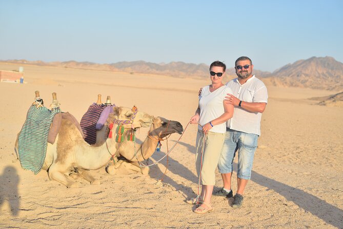 Hurghada: Safari Camel Ride, Dinner & Star Watching - Booking and Assistance