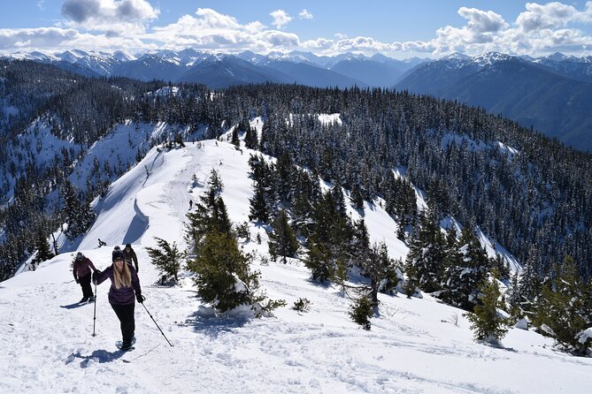 Hurricane Ridge Guided Snowshoe Tour in Olympic National Park - Cancellation Policy Details