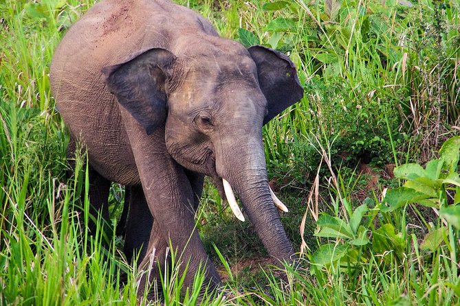 Hurulu Eco Park Private Safari - Cancellations and Refunds