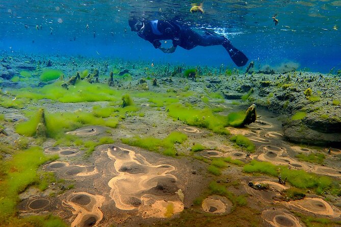 Húsavík: Bubbling Sands Snorkeling Tour - Tour Requirements