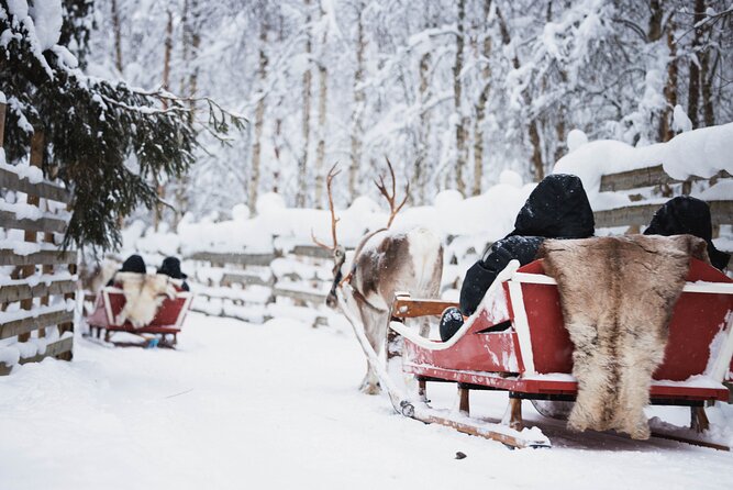 Husky, Reindeer Farm and Santa Village Experience - Additional Information