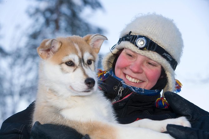Husky Safari From Rovaniemi Including a Husky Sled Ride - Important Participant Guidelines