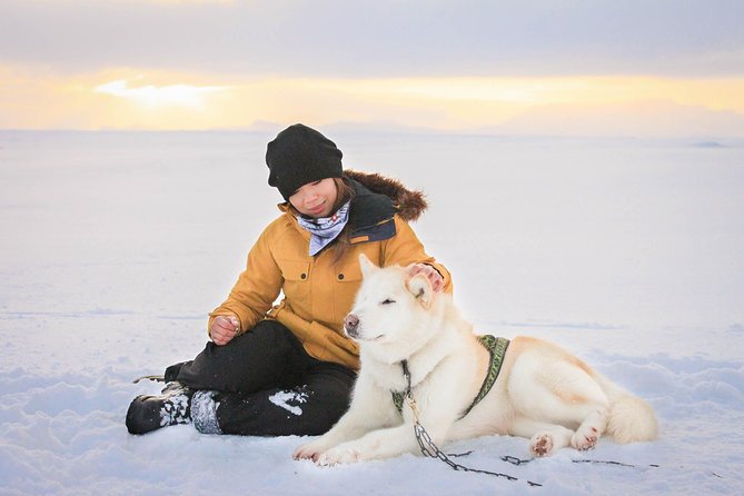 Husky Sledding Small-Group Tour From Capital Region - End Point and Cancellation Policy