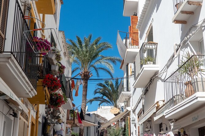 Ibiza Old Town Private Walking Tour With a Professional Guide - Local Guide Insights