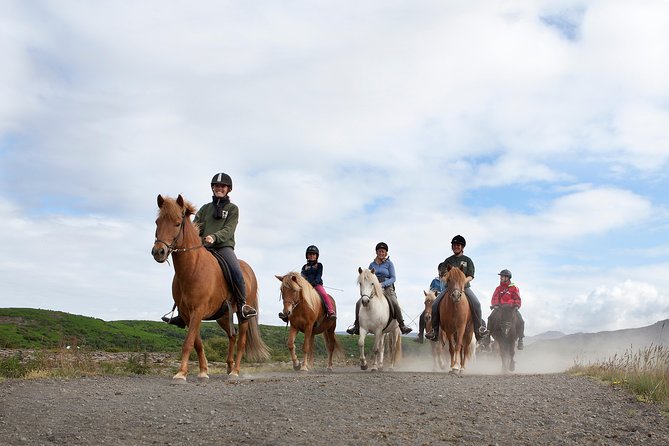 Icelandic Horseback Riding Tour From Reykjavik - Booking Confirmation and Restrictions