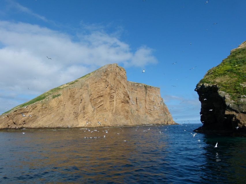 Ilhéus Das Cabras in Terceira Island - Location Information