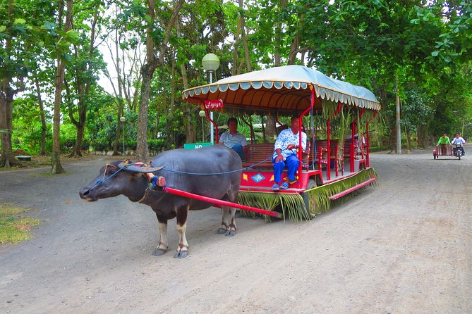 Immerse in Culture: Villa Escudero Coconut Plantation Experience - Staff Appreciation and Service