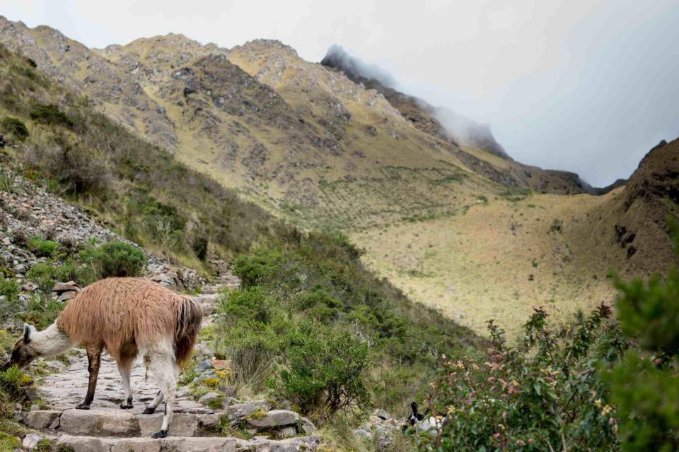 Inca Trail to Machu Picchu (4 Days) - Activity Highlights
