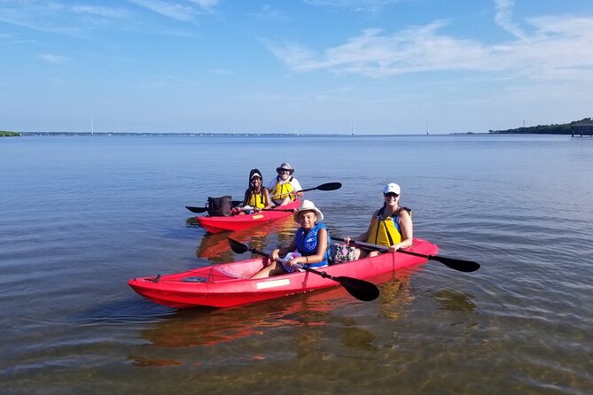 Indian River Clear Bottom Kayak or Paddleboarding Manatee and Dolphin Tour - Inclusions