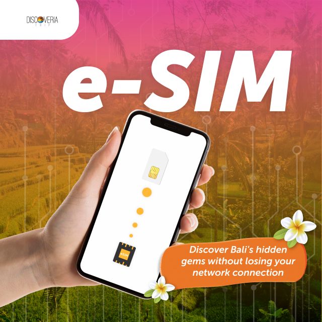 Indonesia Data SIM (eSIM) For Internet Data - Data Package Options and Pricing