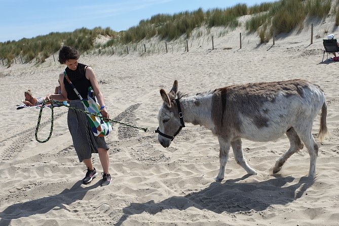 Inspirational Nature Walking Tour With Donkeys in the Hague - Amenities Included