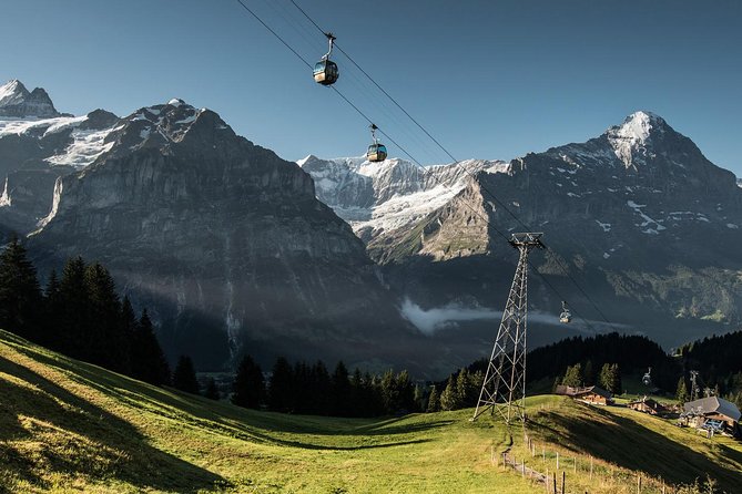 Interlaken and Grindelwald Day Trip From Lucerne - Customer Feedback