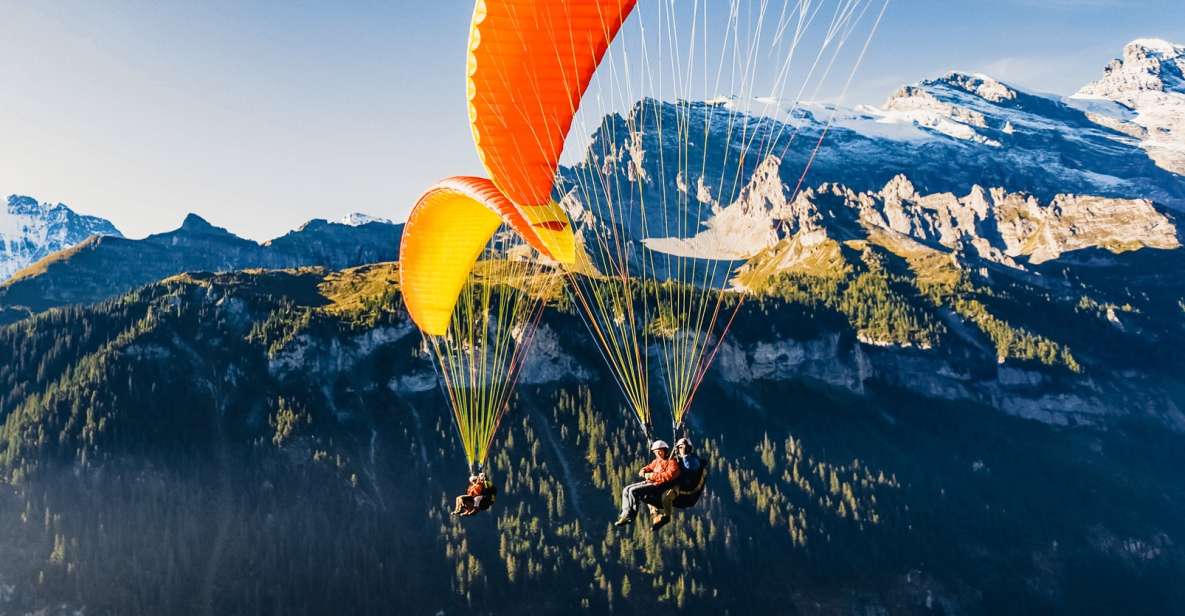 Interlaken: Tandem Paragliding Flight - Flight Experience