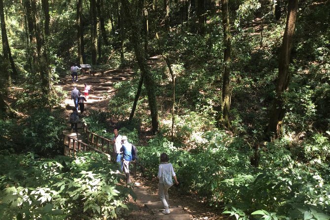 Inthanon Small-Group With Kew Mae Pan Trail From Chiang Mai Include Lunch - Tour Overview and Inclusions