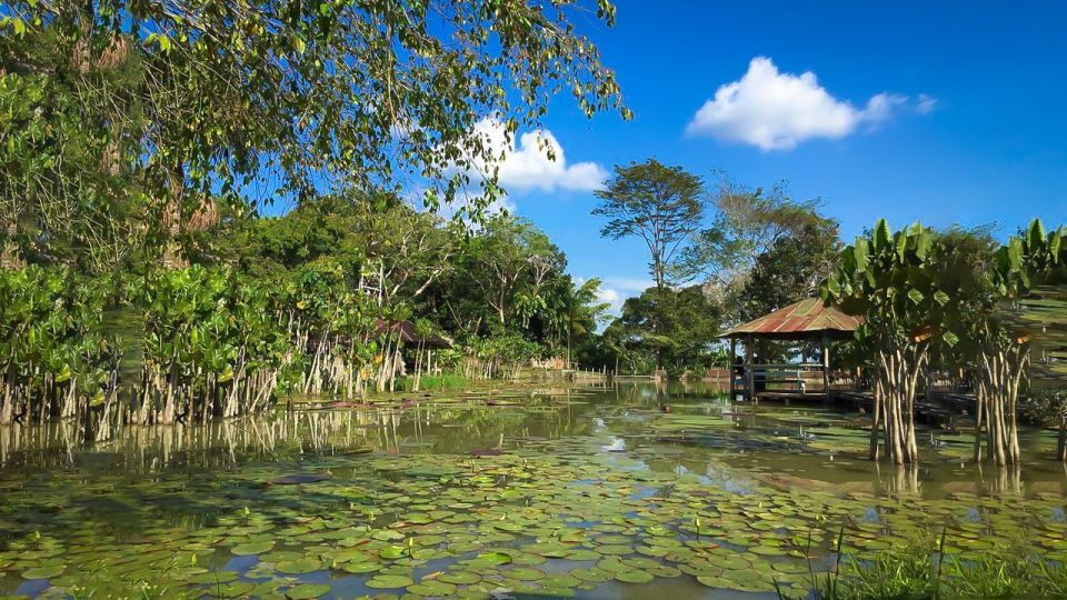 Iquitos: 6-Hour Wonderful Wildlife Guided Tour - Wildlife Discovery