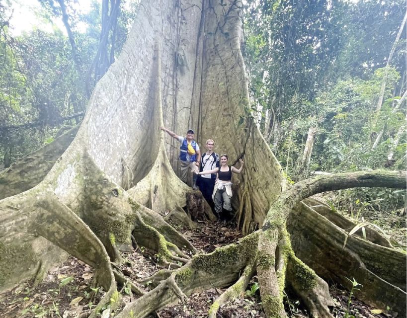 Iquitos: Day Tour Amazon River - Tour Highlights and Lunch