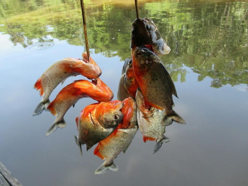 Iquitos: Incredible 4-Day Amazon Tour - Indigenous Community Visits