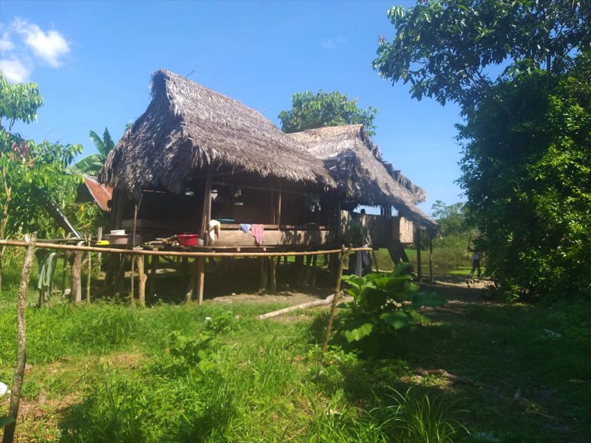 Iquitos: Jungle Tour on Boat, Itaya River - Activity Details