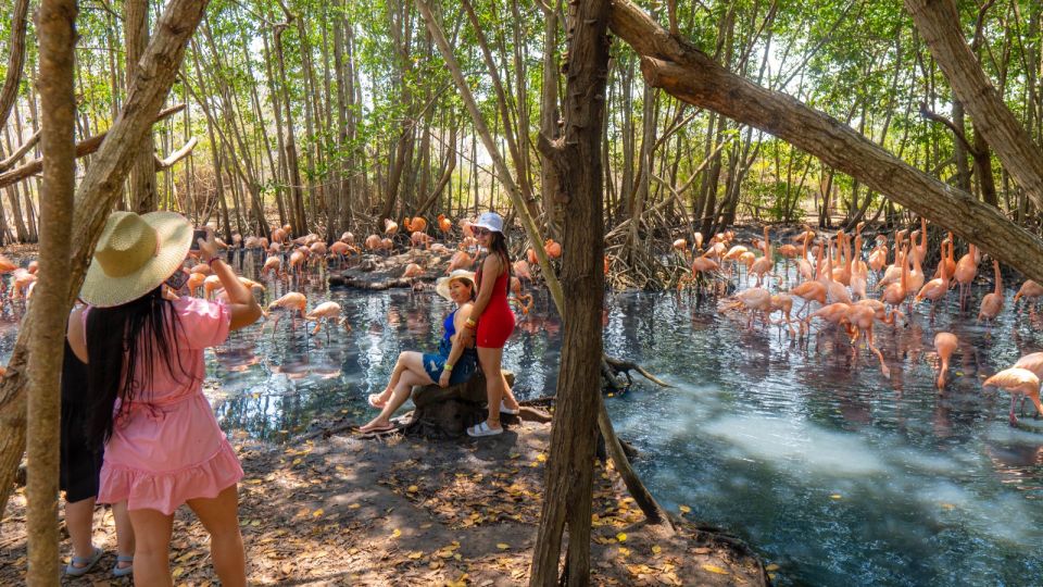 Isla Barú: Beach Club Access and Tour of the National Aviary - Experience Highlights