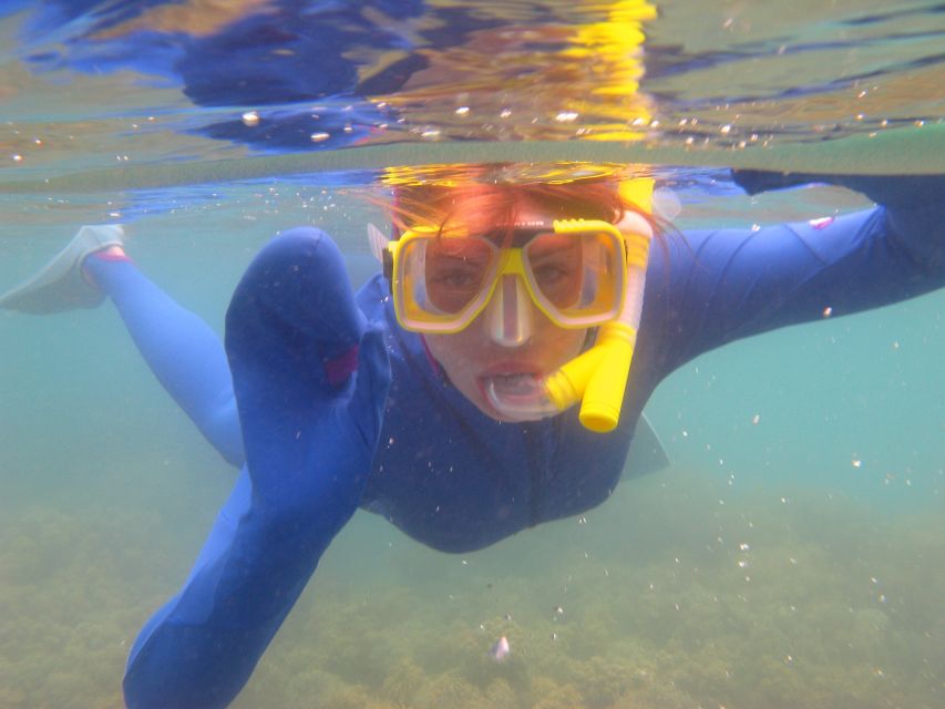 Islamorada: Snorkeling and Beach Adventure - Experience Highlights