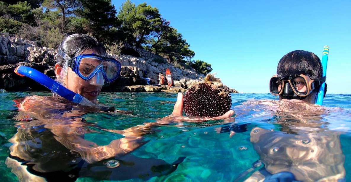 Island Losinj Kayak Tour - Experience Highlights