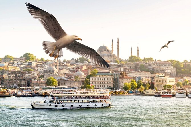 Istanbul Cruise to the Princes Islands ( Full Day Tour ) - Tour Inclusions