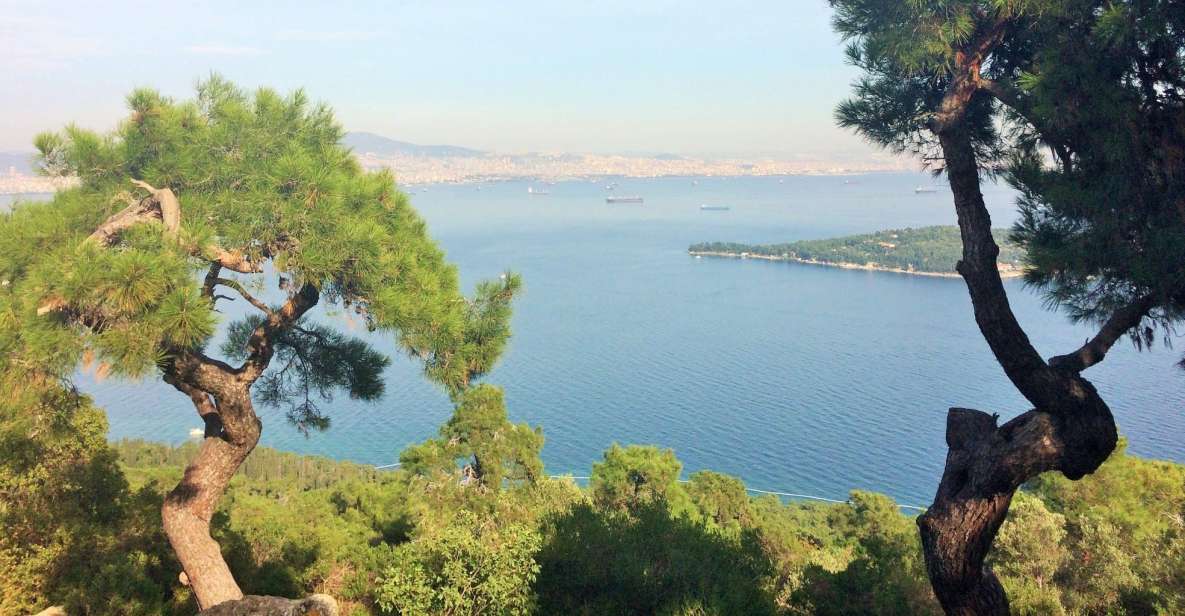 Istanbul: Day Trip to the Princes' Islands - Experience Highlights